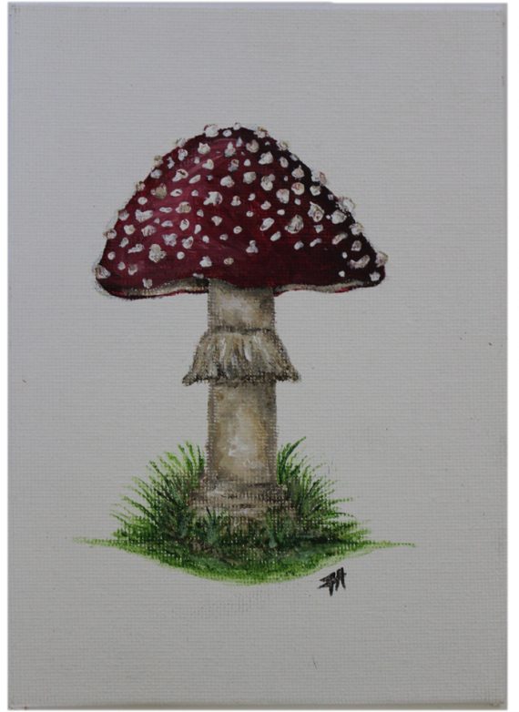 Canvas Painting | Fly Agaric