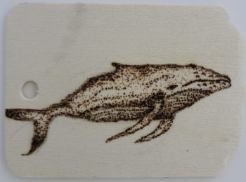 Wood burned magnet with Whale